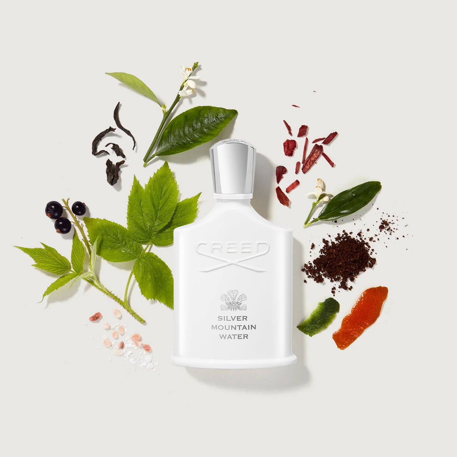 Silver Mountain Water | Creed Fragrance UK