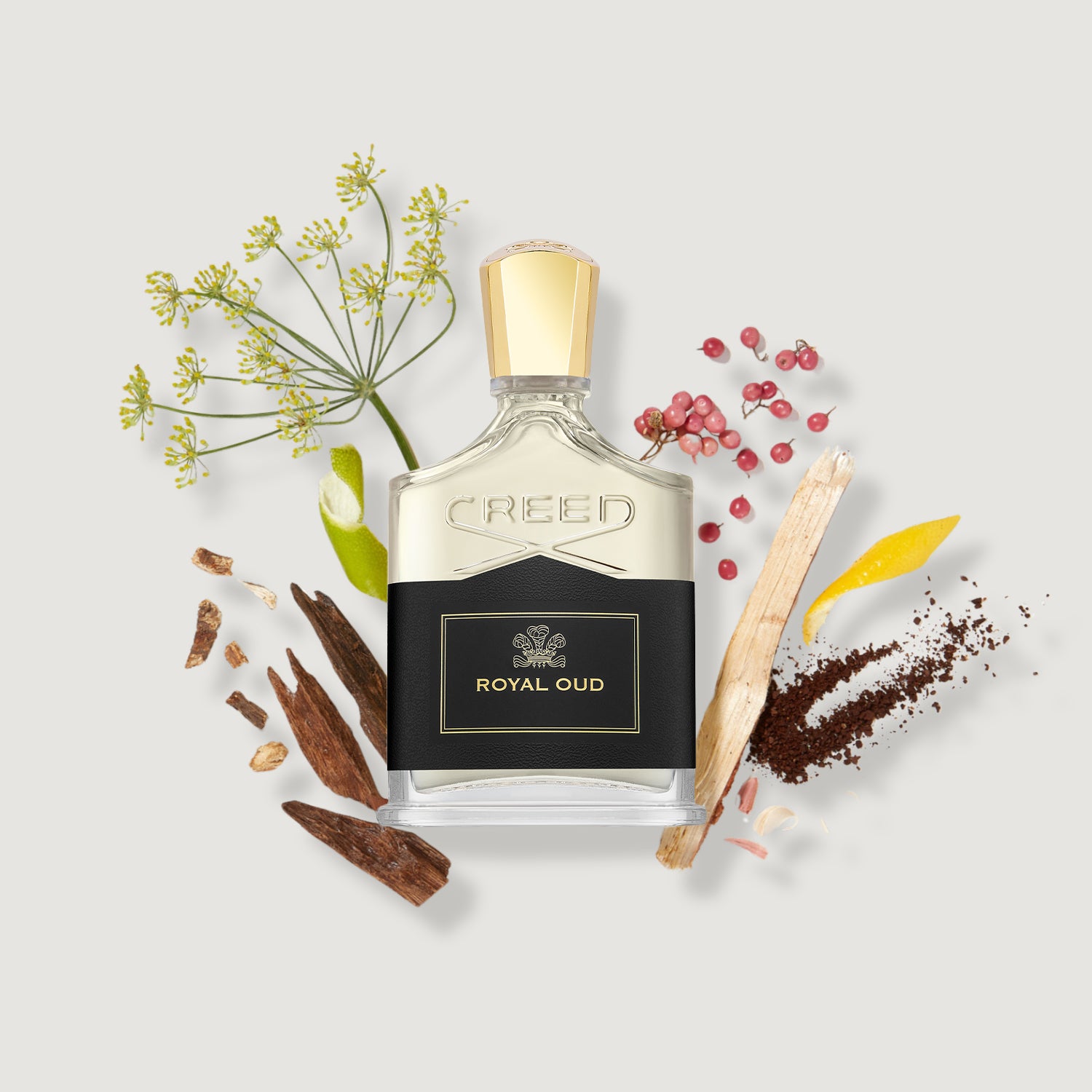 Royal Oud | Unisex Woody Fresh Fragrance | Citrus & Smoky Oud