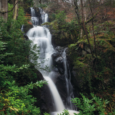 Waterfall surrounded by green trees