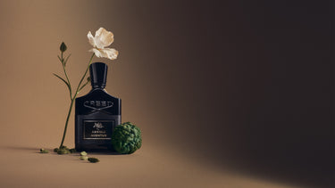 Absolu Aventus