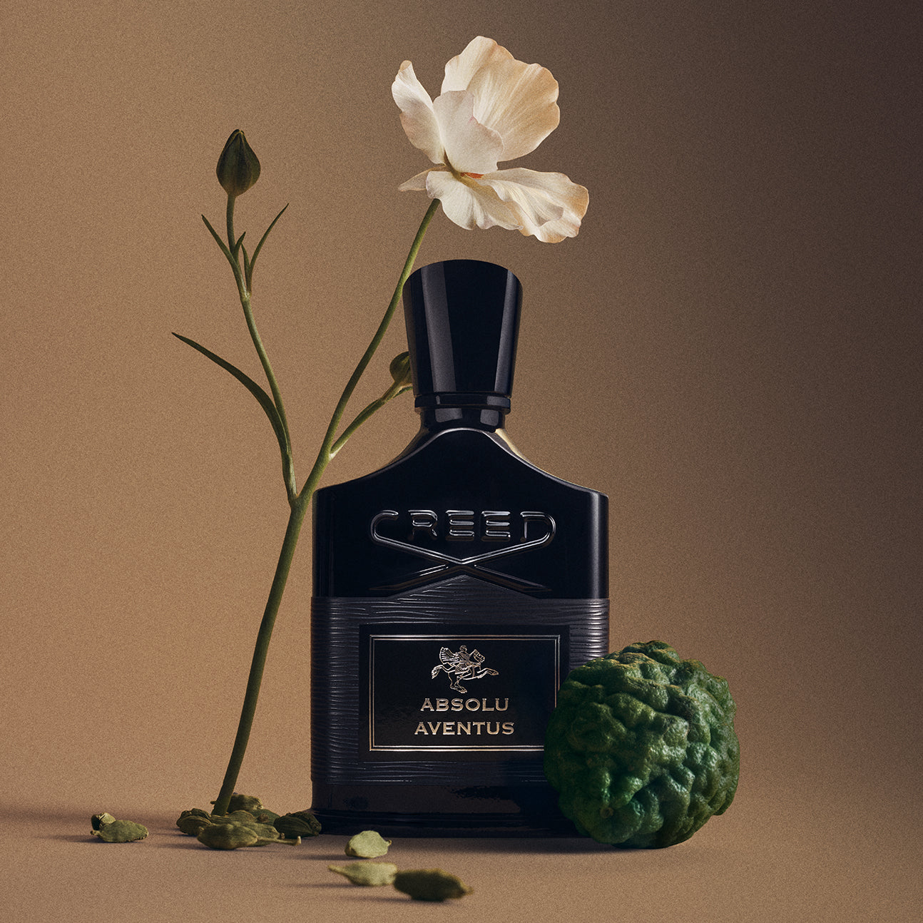 Absolu Aventus | Men's Woody Fragrance | Dry Woods, Fresh, Citrus