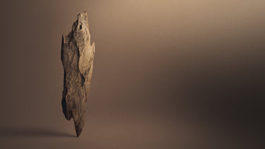 Aventus
