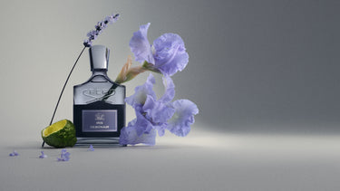 Iris Debonair