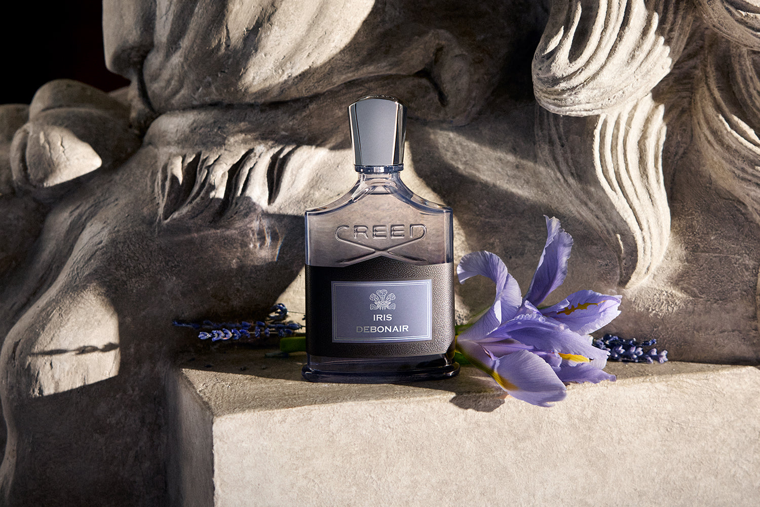 Jardin d'Amalfi | Unisex Fresh Citrus Fragrance | Fruity & Floral