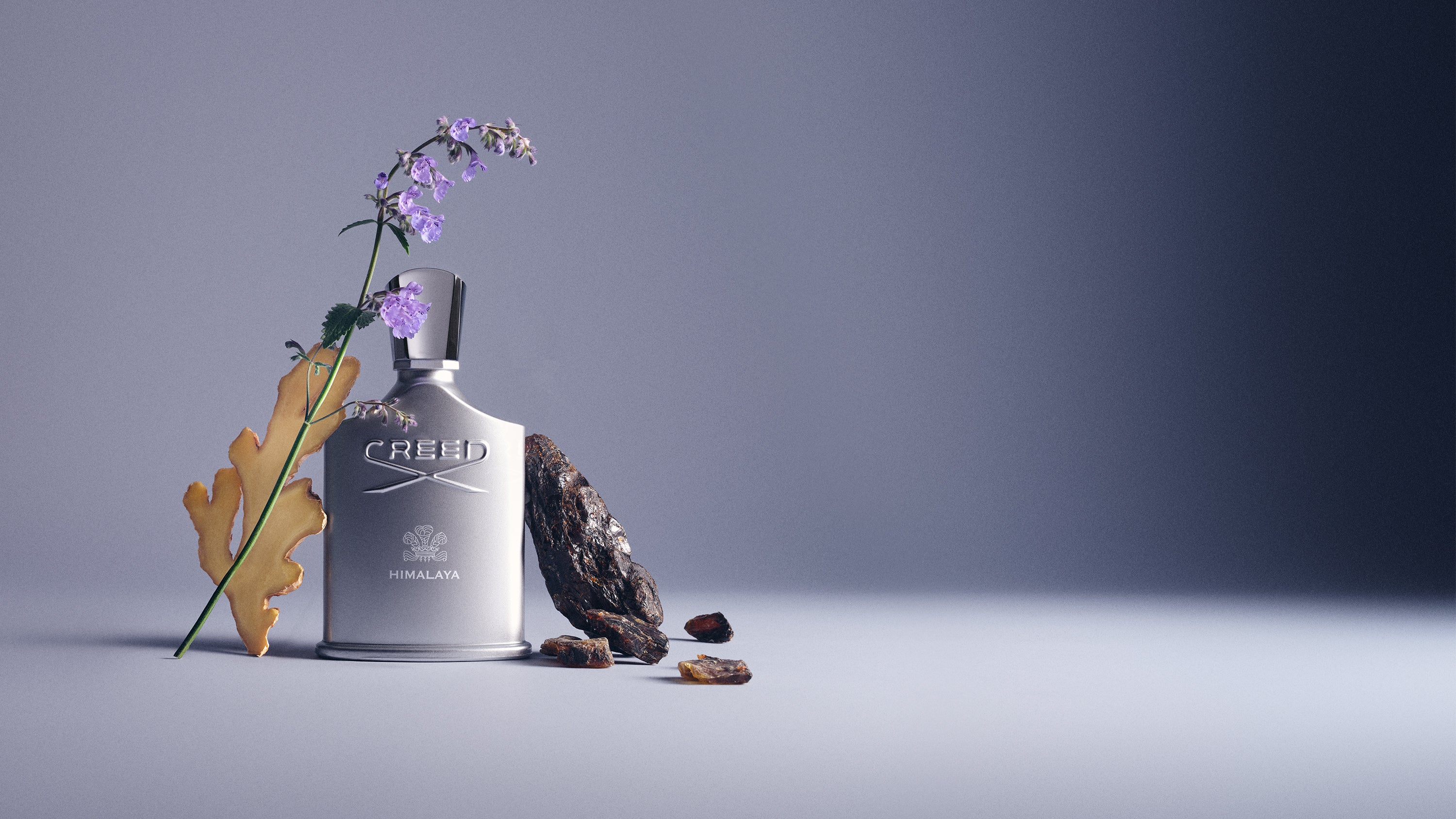 Himalaya | Men's Woody Fresh Fragrance | Spicy & Aromatic | Creed