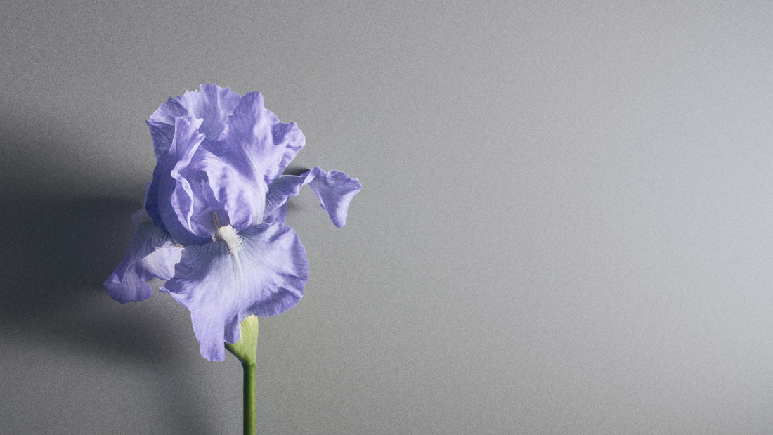 Iris Debonair | Creed Fragrance UK