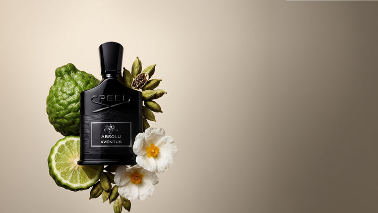 Absolu Aventus