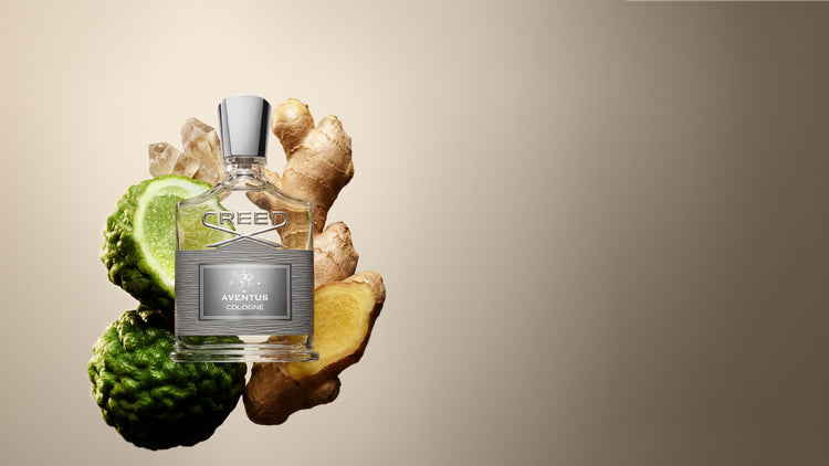 Aventus Cologne