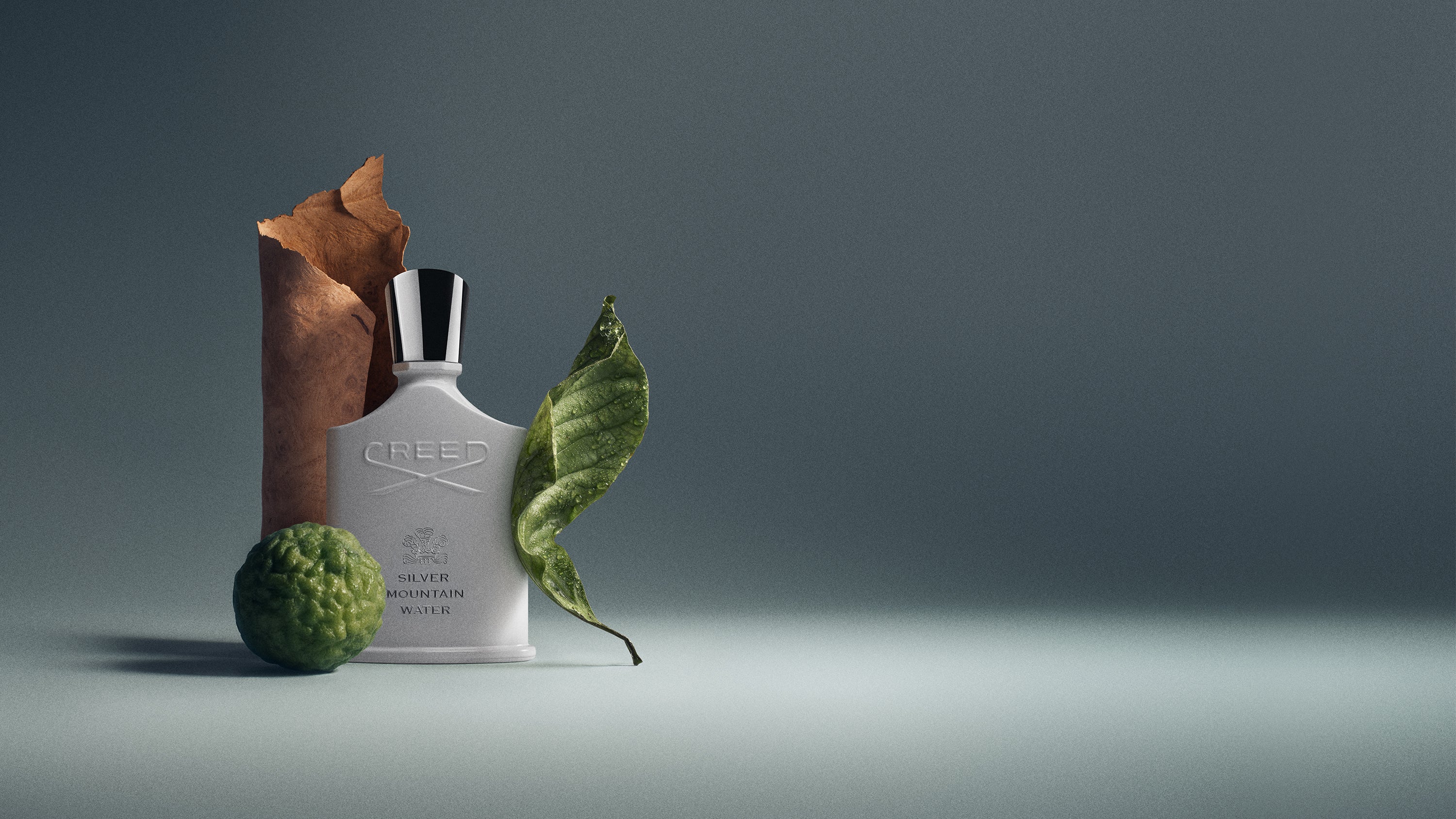 Silver Mountain Water | Unisex Fresh Citrus Fragrance | Fruity