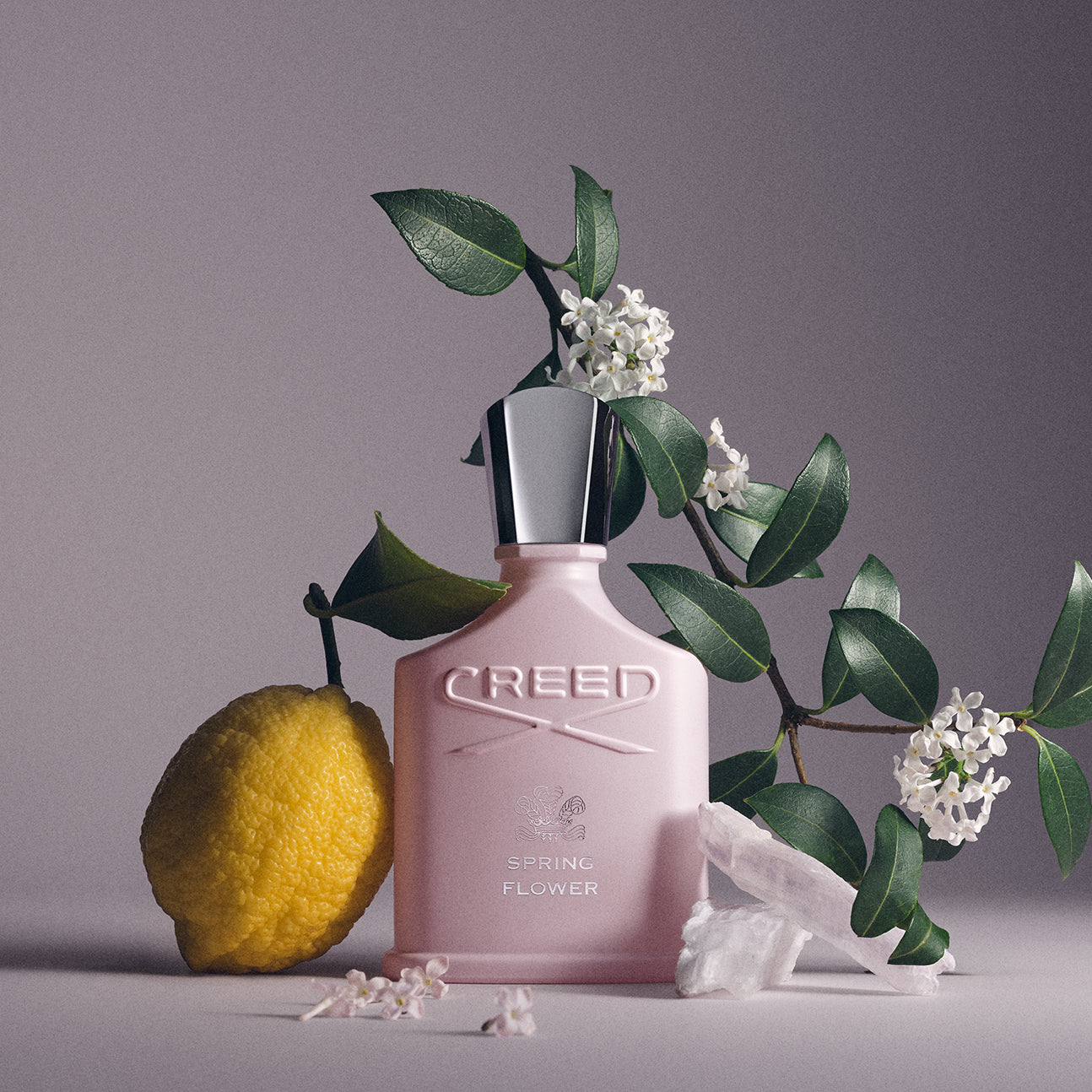 香水 CREED クリード SPRING FLOWER 75ml Spring Flower | Women's Floral Fresh Fragrance | Fruity & Soft