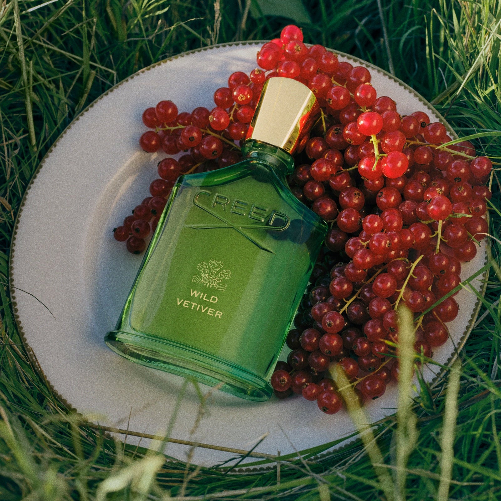 Wild Vetiver Gift Set | Men's Woody Floral Fragrance Gift Set