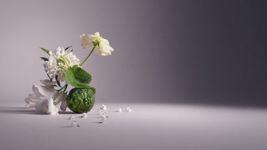 Wind Flowers