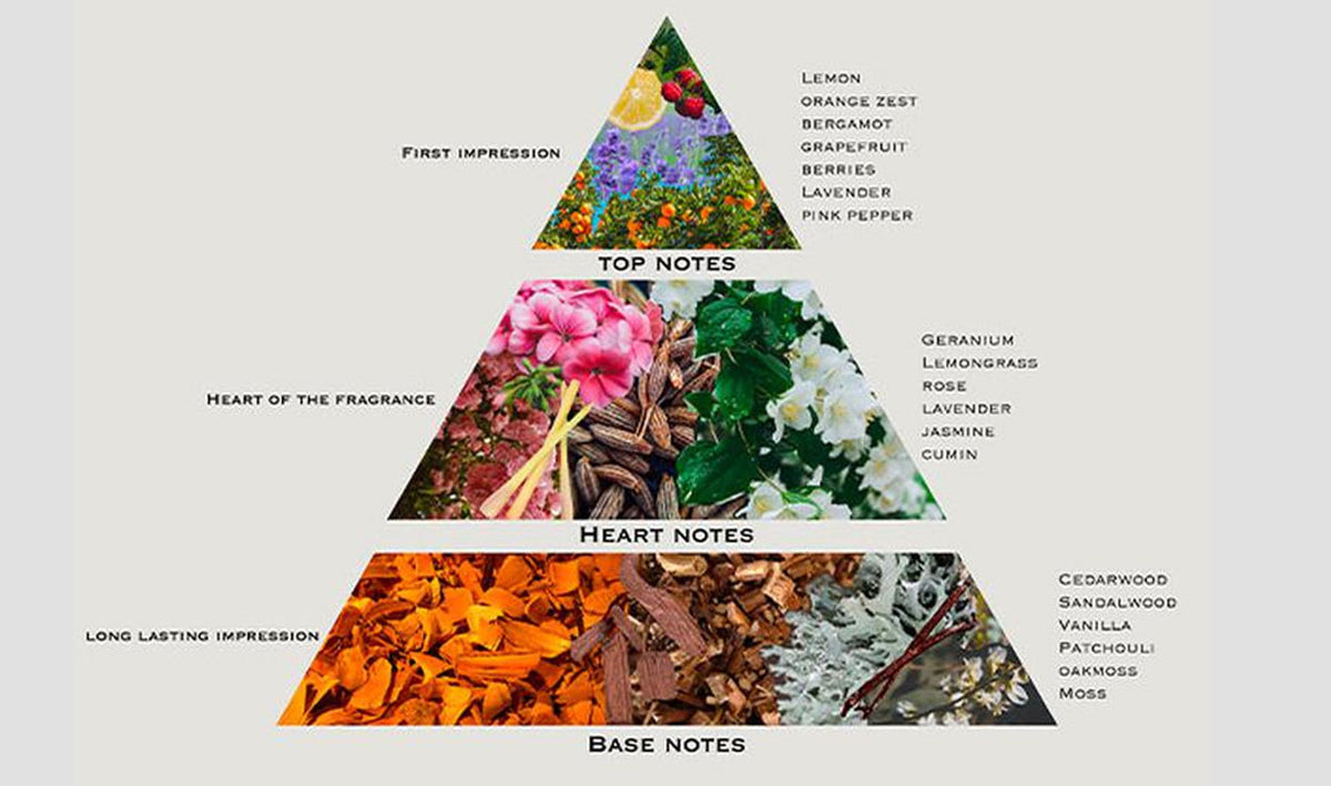 Decoding The Different Fragrance Types | Creed Fragrance UK